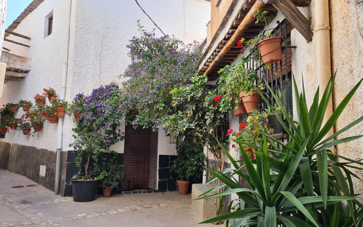Busquistar. Village house for renovation