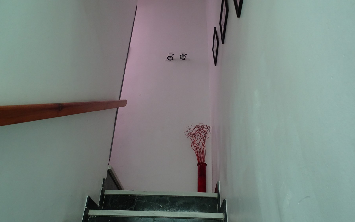 DSC09508