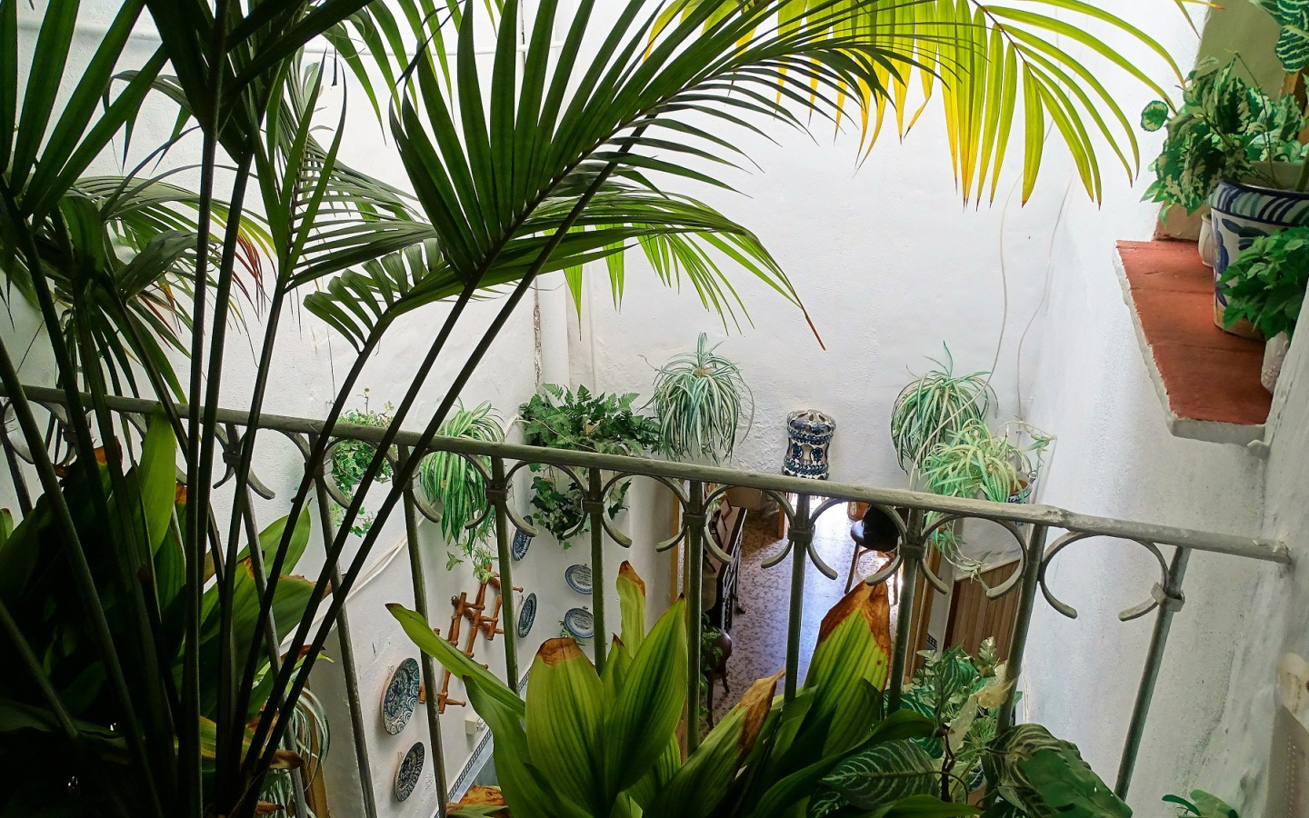 DSC06876