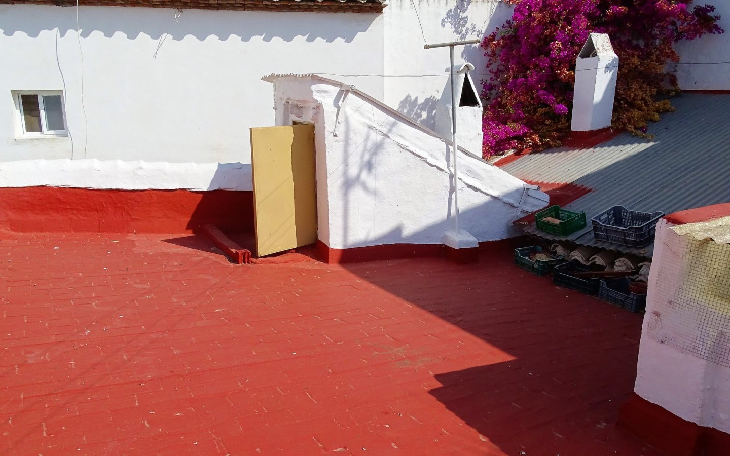 DSC06880