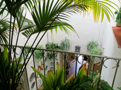 DSC06876