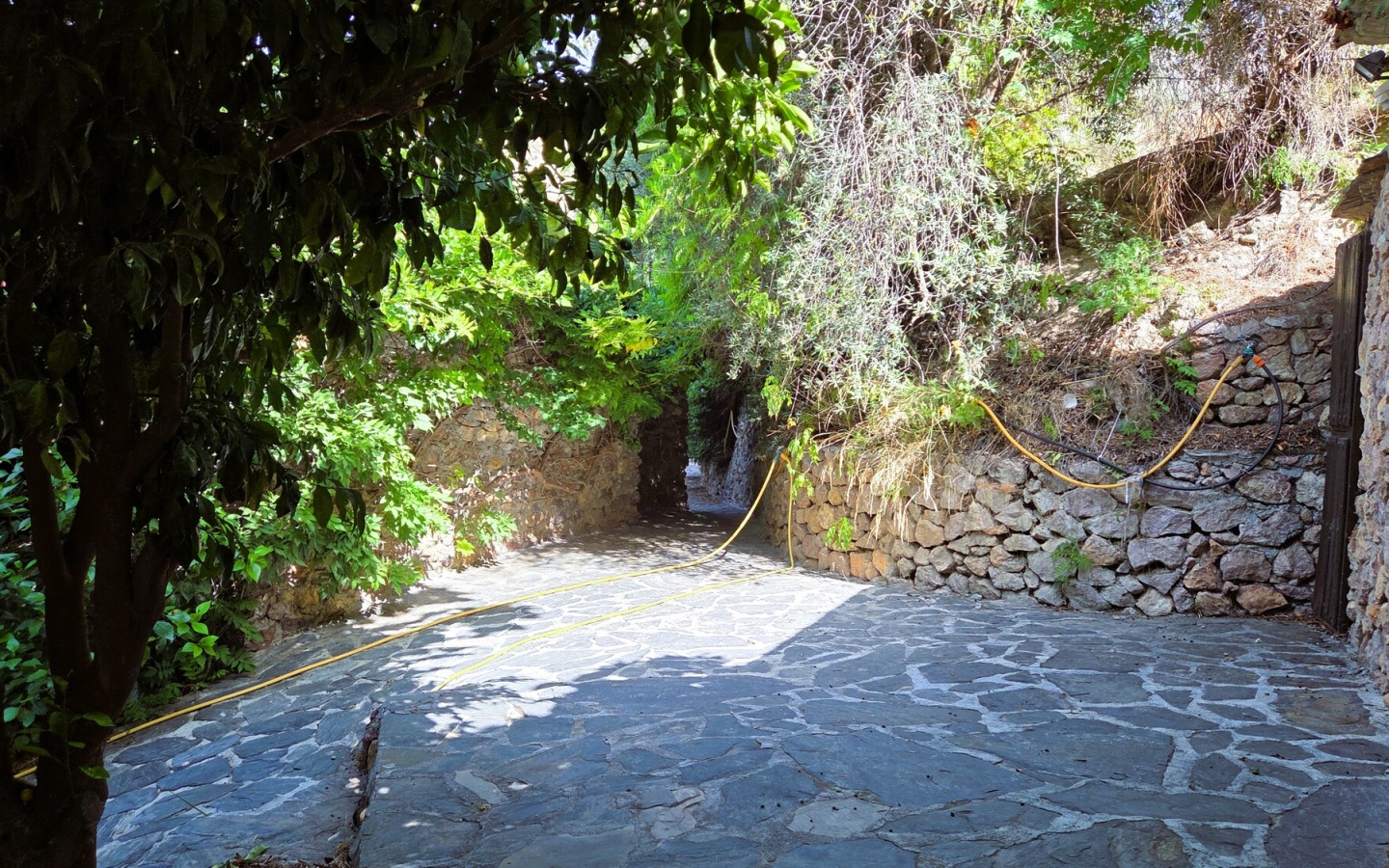 20250809_111429 20250809_111429