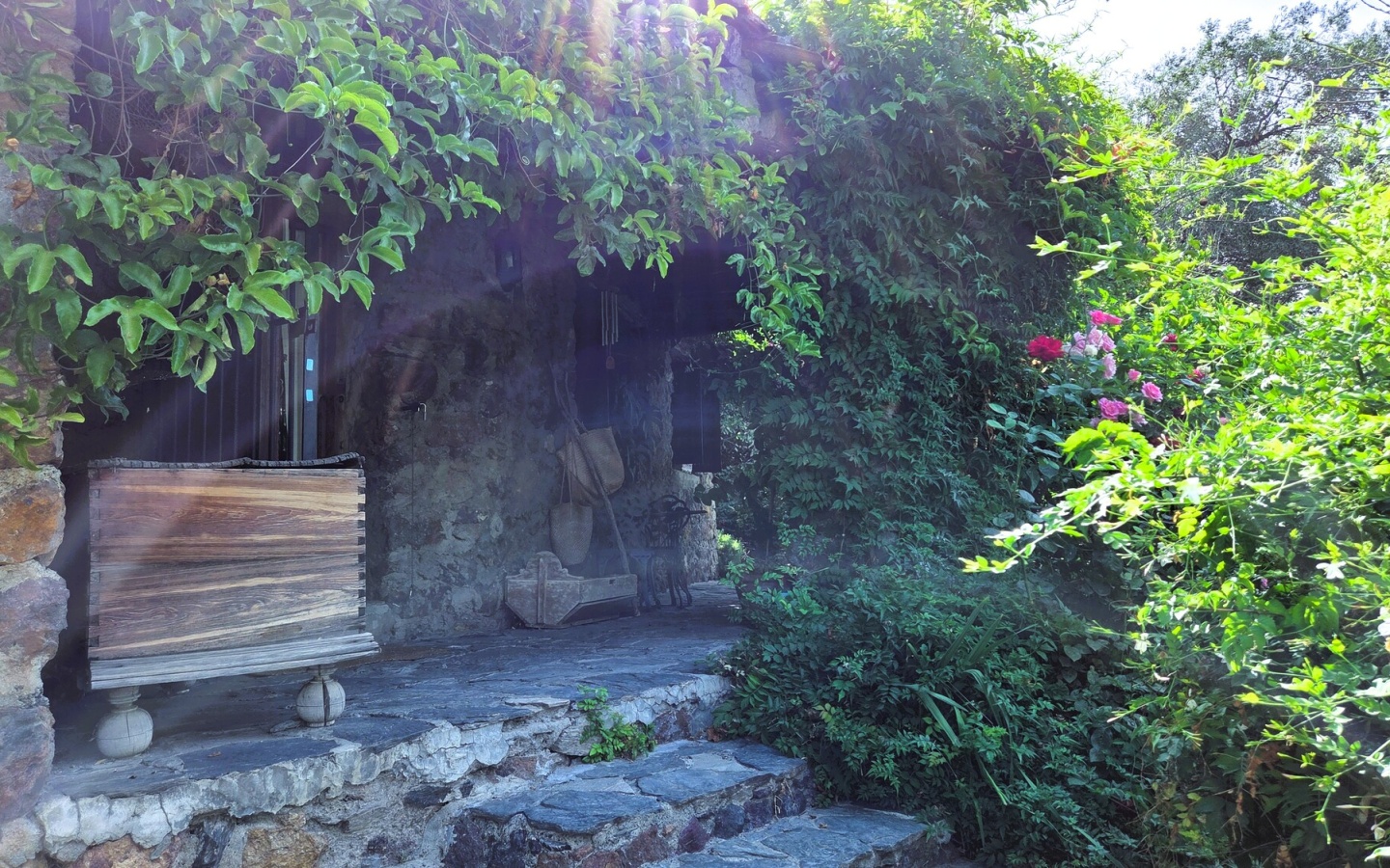 20250809_112415 20250809_112415