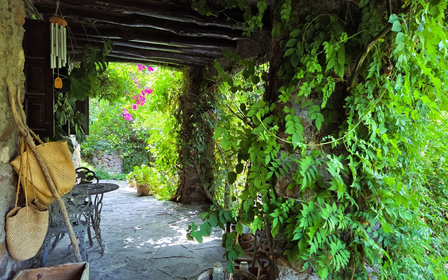 20250809_112429 20250809_112429