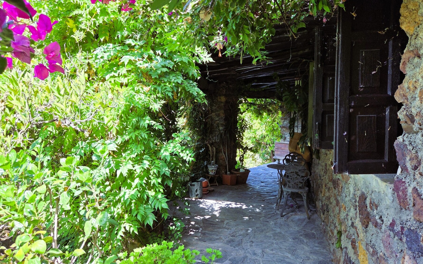 20250809_112443 20250809_112443