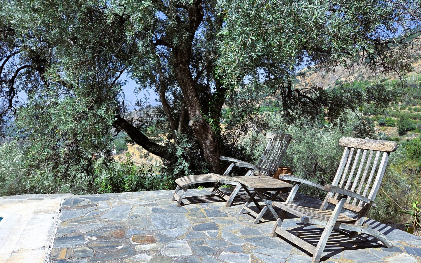 20250809_115654 20250809_115654