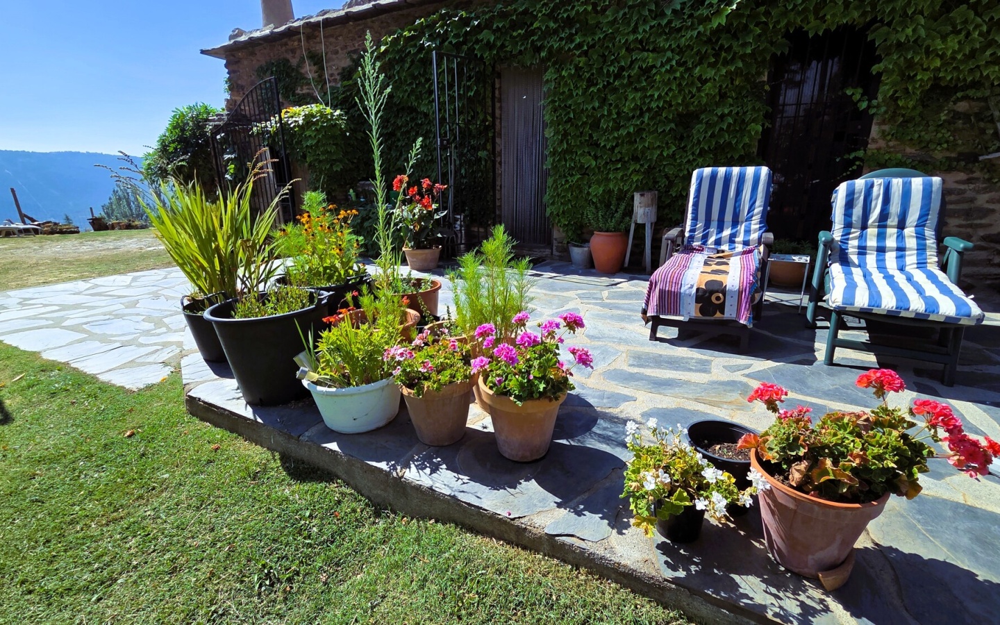 20250822_114421 20250822_114421