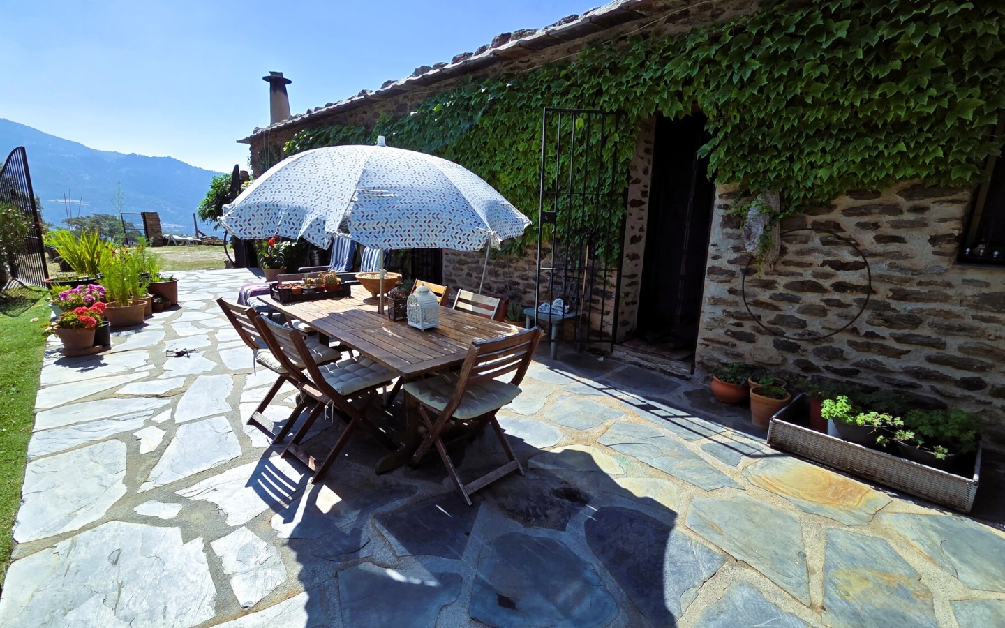 20250822_114431 20250822_114431