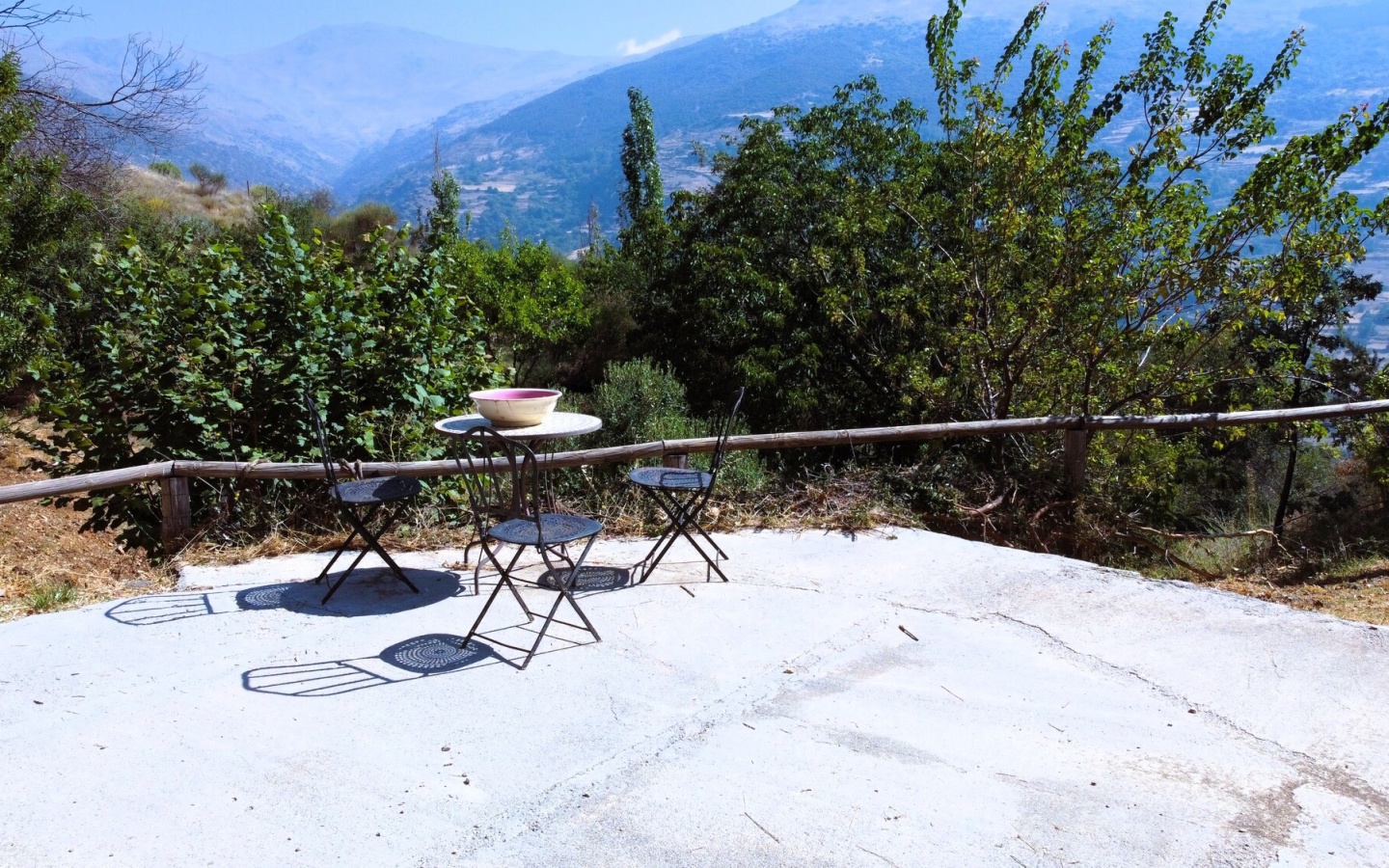 20250822_114433 20250822_114433