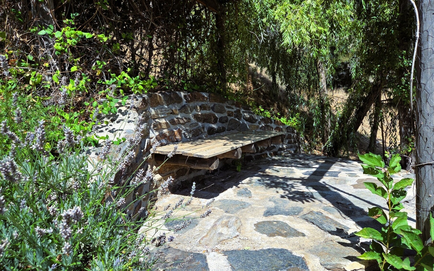 20250822_120605 20250822_120605