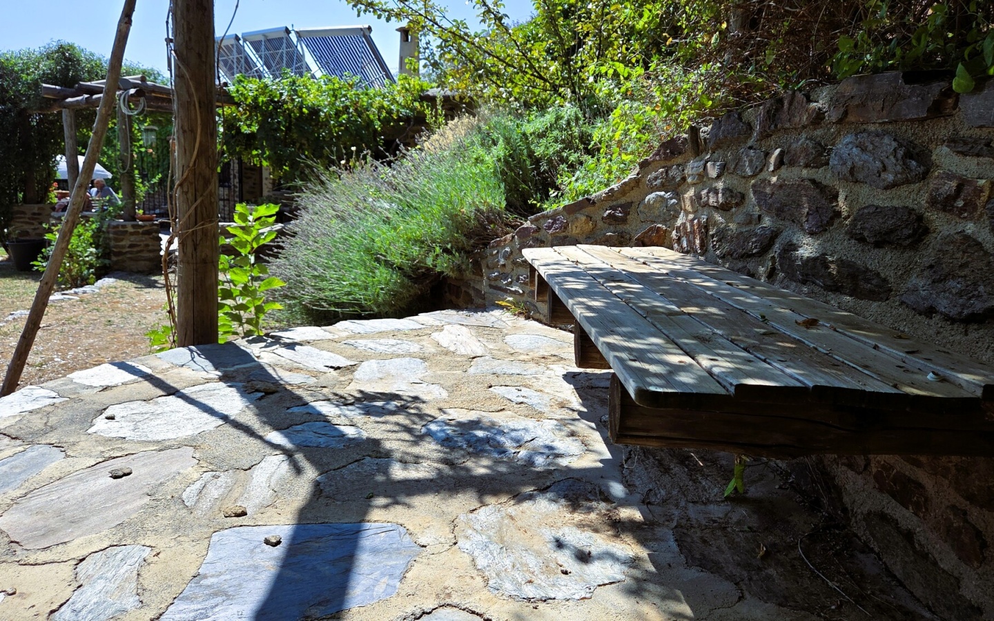 20250822_120620 20250822_120620