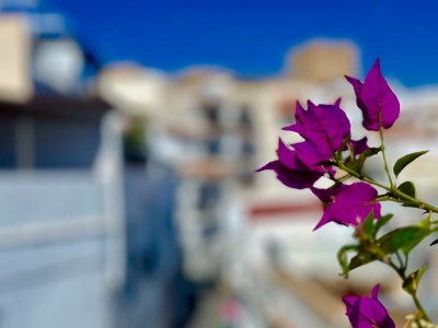 0627, Salobreña. Two Bedrooms Townhouse