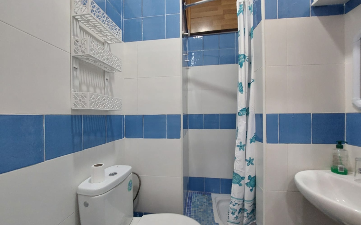 WhatsApp Image 2025-10-07 at 12.02.28 (1) WhatsApp Image 2025-10-07 at 12.02.28 (1)