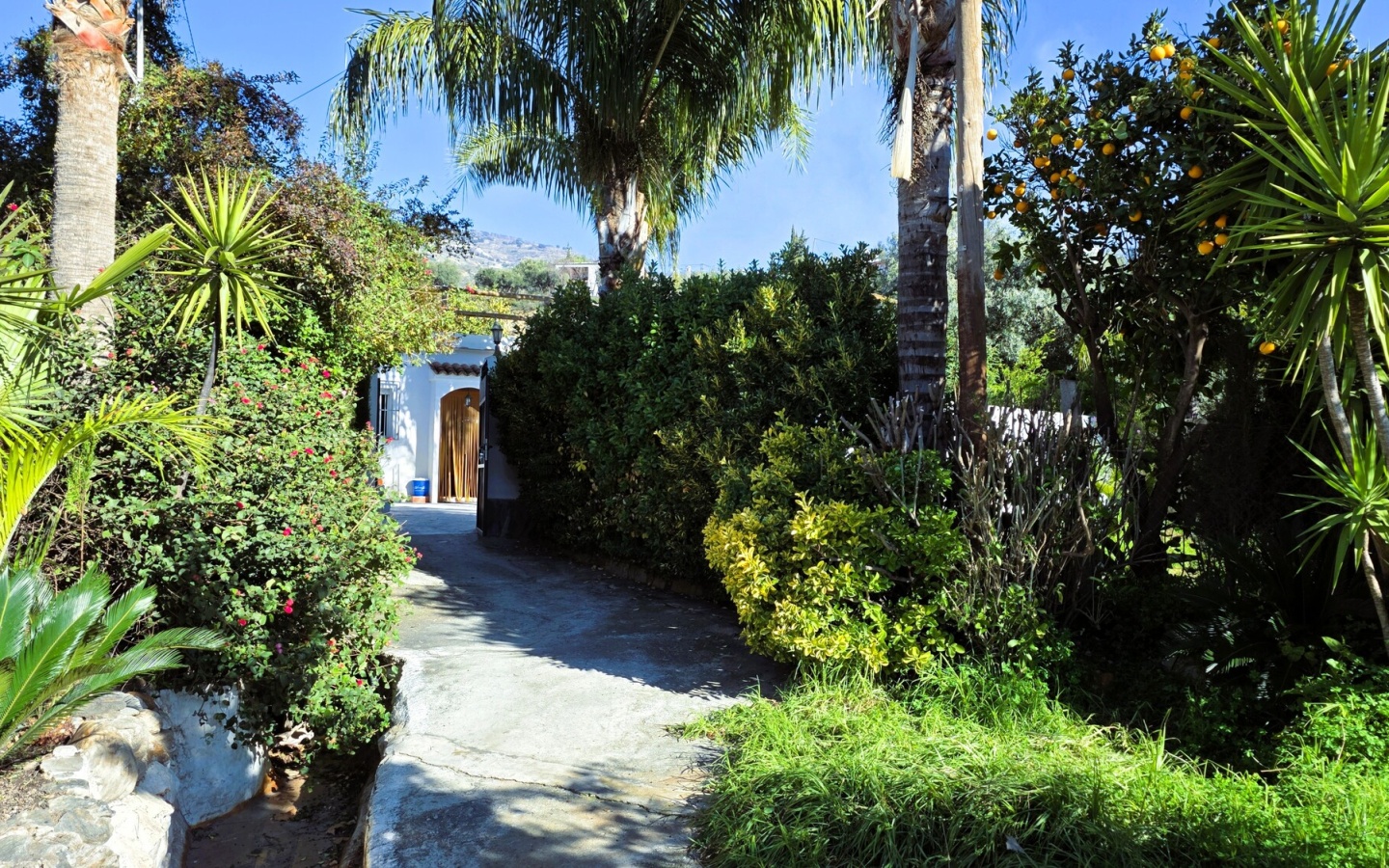 Orgiva. Three bedrooms House