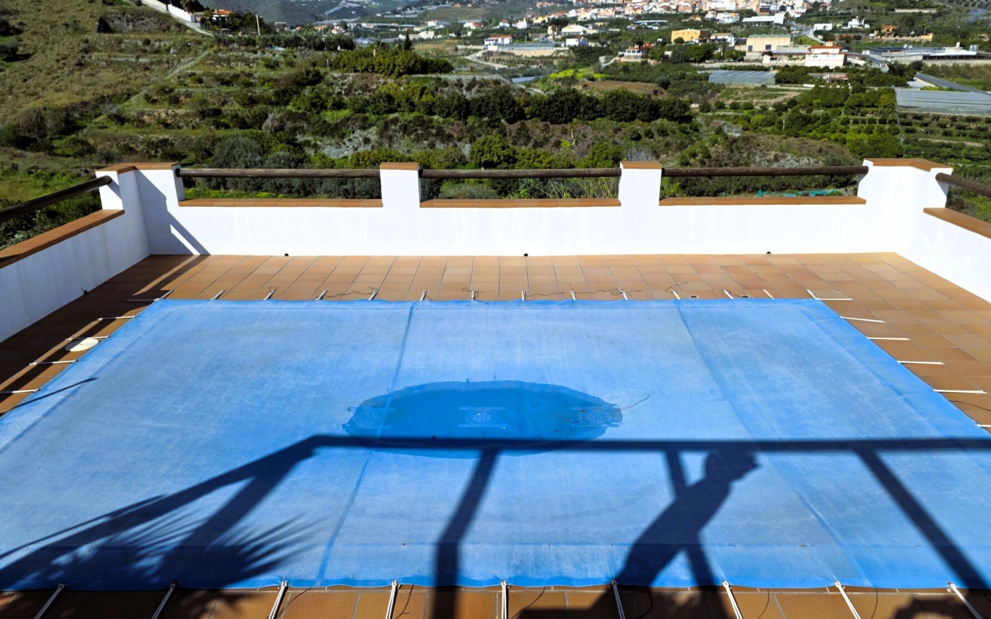 20260218_114321 20260218_114321