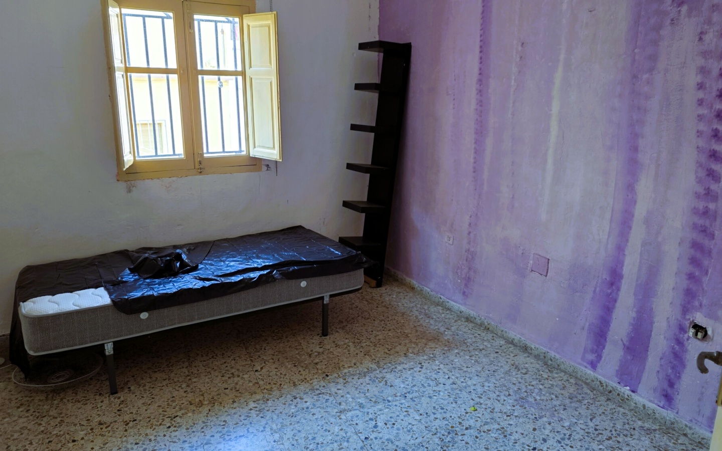 20260223_173346 20260223_173346