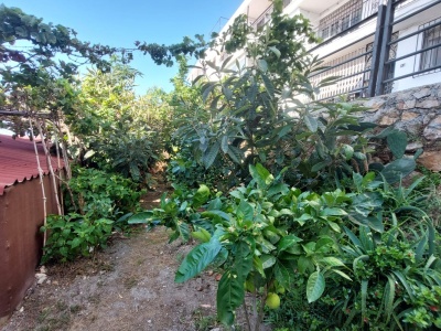 WhatsApp Image 2026-08-21 at 12.19.29 (1)