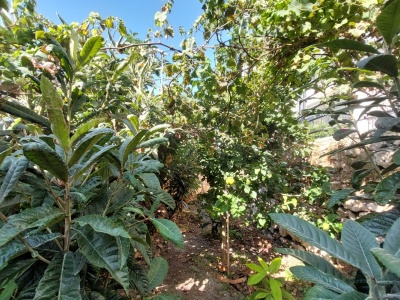 WhatsApp Image 2026-08-21 at 12.19.56 (3)