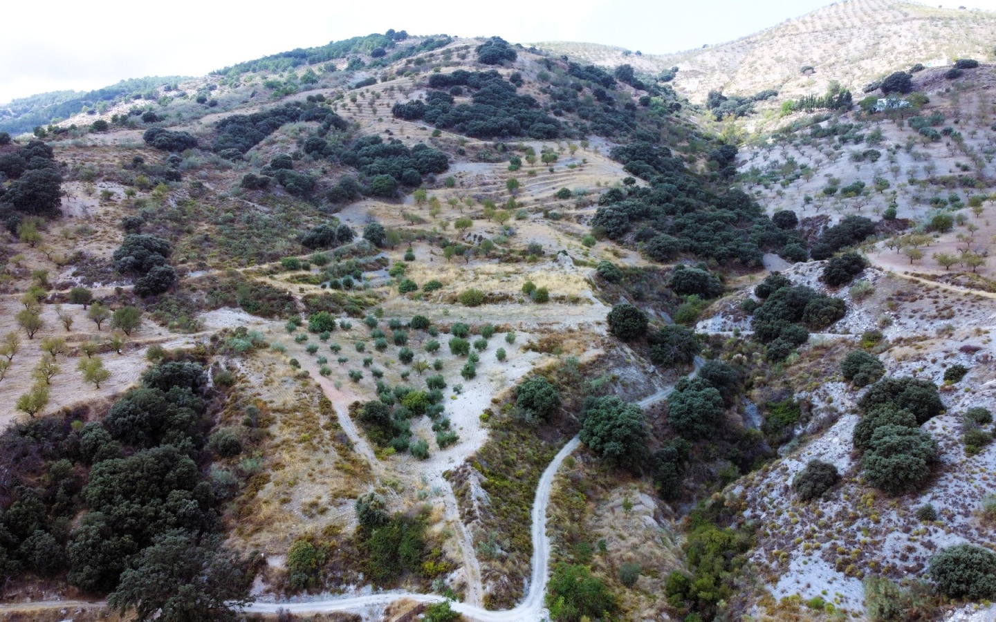 DJI_0182 DJI_0182