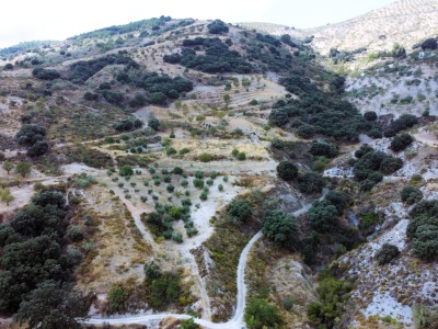 DJI_0182